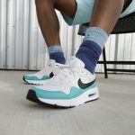 nike-air-max CW4555-008