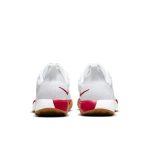 nikecourt DH2949-188
