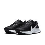 nike-air-pegasus DA8698-001