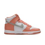 nike-dunk DD1869-600