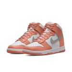 nike-dunk DD1869-600