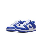 nike-dunk DV7067-400