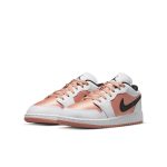 air-jordan-1 DM8960-801
