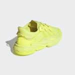 adidas-x-raf-simons-ozweego G55590