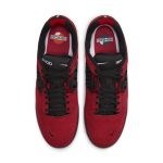 nike-sb-sneaker DC7232-600