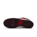 nike-sb-sneaker DM0807-600