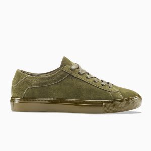 KOIO Capri Thyme Green (CATY)