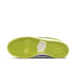 nike-sb-sneaker DM0807-300