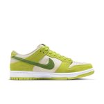 nike-sb-sneaker DM0807-300