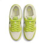 nike-sb-sneaker DM0807-300