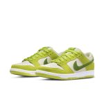 nike-sb-sneaker DM0807-300
