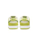 nike-sb-sneaker DM0807-300