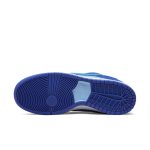 nike-sb-sneaker DM0807-400