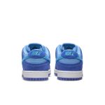 nike-sb-sneaker DM0807-400
