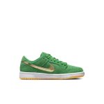 nike-sb-sneaker DN3675-303