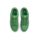 nike-sb-sneaker DN3675-303