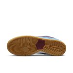 nike-sb-sneaker DQ4040-400