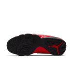 air-jordan-9 CT8019-600