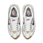 nike-air-max DJ6209-100
