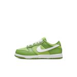 nike-dunk DH9756-301