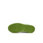 nike-dunk DH9756-301