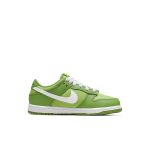nike-dunk DH9756-301