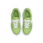 nike-dunk DH9756-301