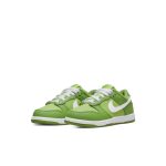 nike-dunk DH9756-301