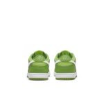 nike-dunk DH9756-301