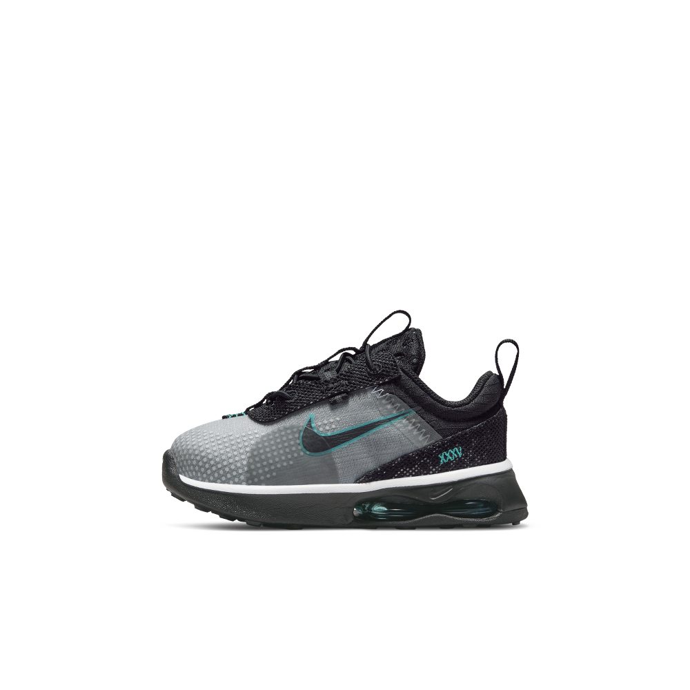 Nike Air Max 2021 SE Grau (DJ0452-001)