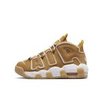 nike-air-more-uptempo DQ4713-700