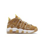 nike-air-more-uptempo DQ4713-700