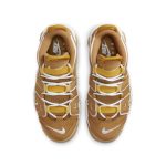 nike-air-more-uptempo DQ4713-700