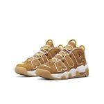 nike-air-more-uptempo DQ4713-700