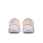 nike-flex DD9283-004
