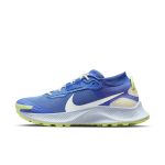 nike-air-pegasus DC8794-400
