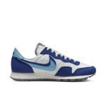 nike-air-pegasus DV0570-100
