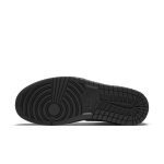 air-jordan-1 554724-091
