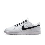 nike-dunk DJ6188-101