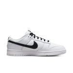 nike-dunk DJ6188-101