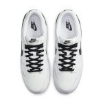 nike-dunk DJ6188-101