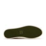 clae-bradley CL22ABR09