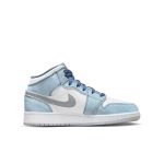 air-jordan-1 DR6235-401