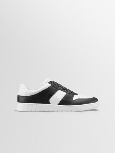 Koio Aventino In Panda (ATPAM0)