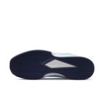 nikecourt DH2949-400