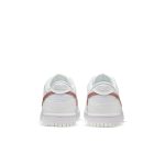 nike-dunk DH9765-100