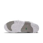 air-jordan-trainer-1 DM0521-100
