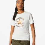 converse-sneaker 10025030-A03