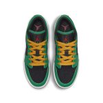 air-jordan-1 DQ8421-300