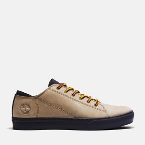 Timberland Adventure 2.0 Sneake Beige (A5TEWDH4)